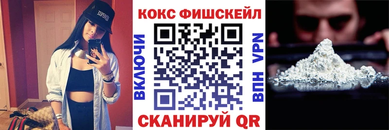 Cocaine FishScale  купить  цена  Морозовск 