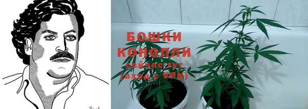 соль курить ск Новозыбков