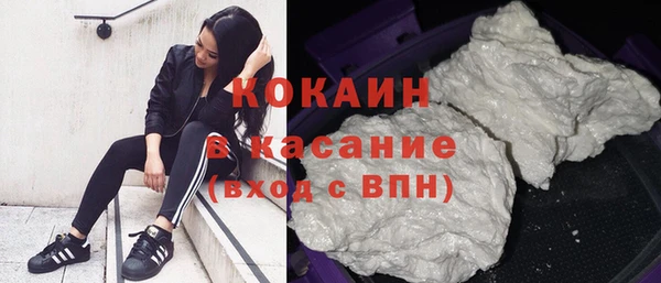 бошки Нея