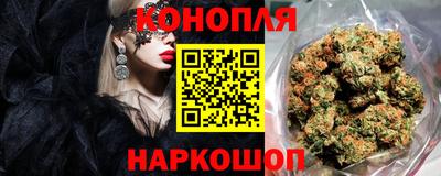 mix Кингисепп