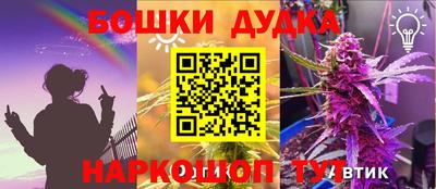 шишки Кинель