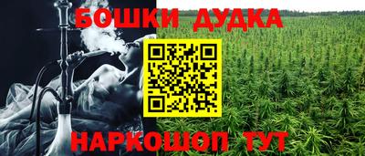 mix Кингисепп