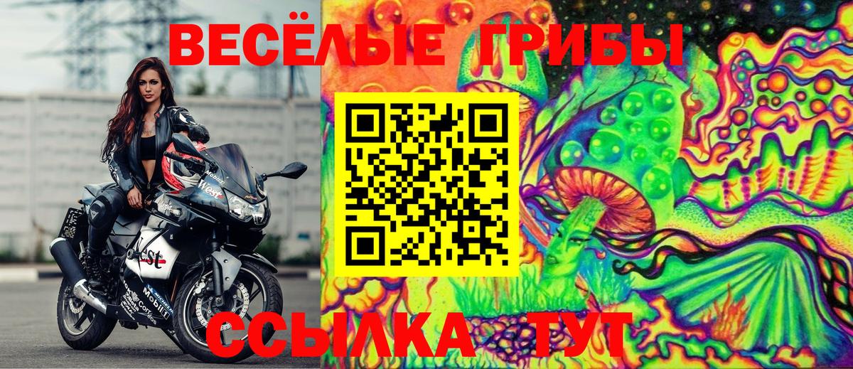 Галлюциногенные грибы GOLDEN TEACHER Морозовск