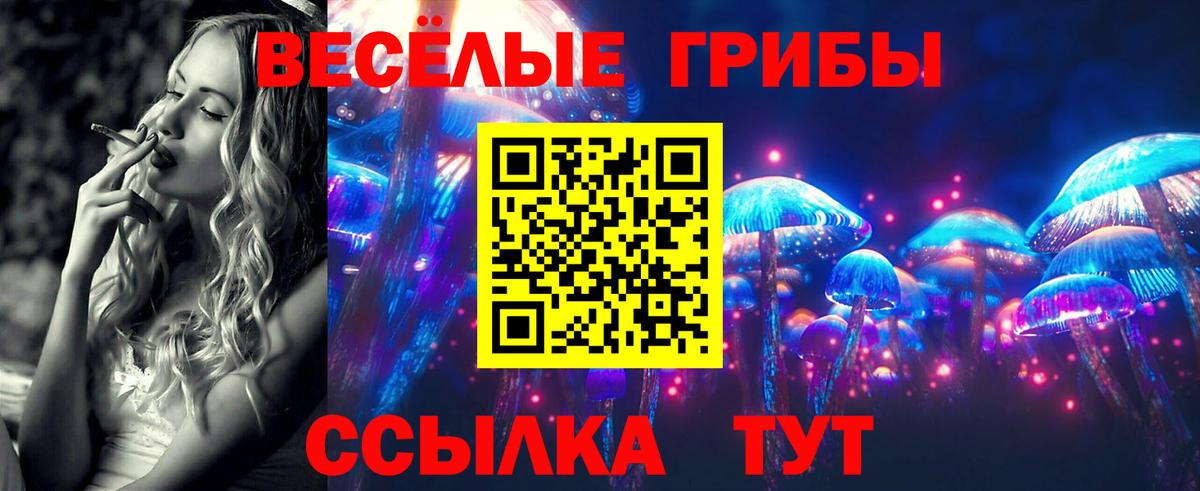 Галлюциногенные грибы MAGIC MUSHROOMS  Вход с VPN  Морозовск 